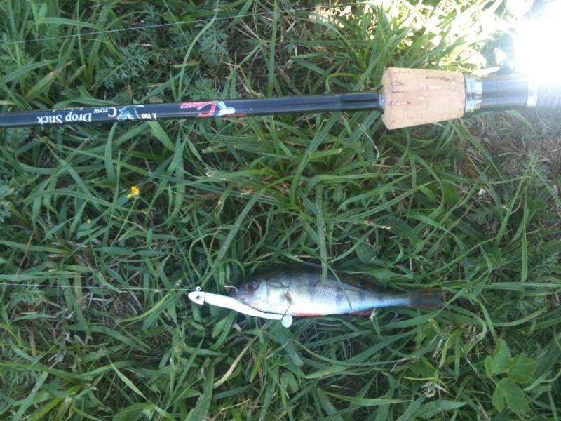 1 baars per minuut op de mini shad