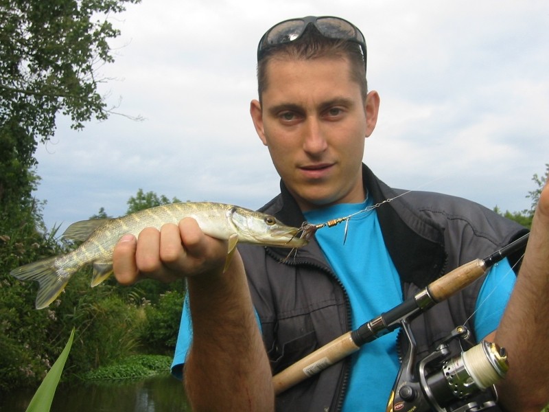 Baars en Snoek op de Dommel