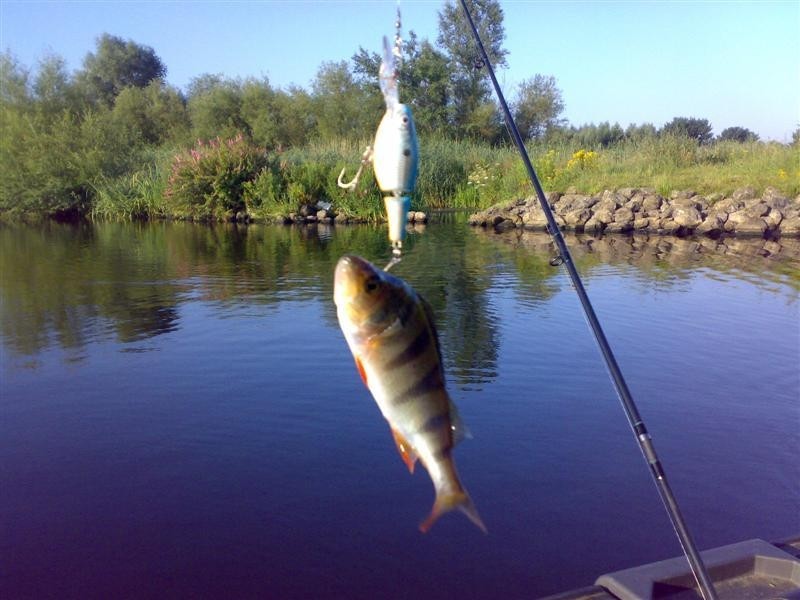 Baars voor Breakfast