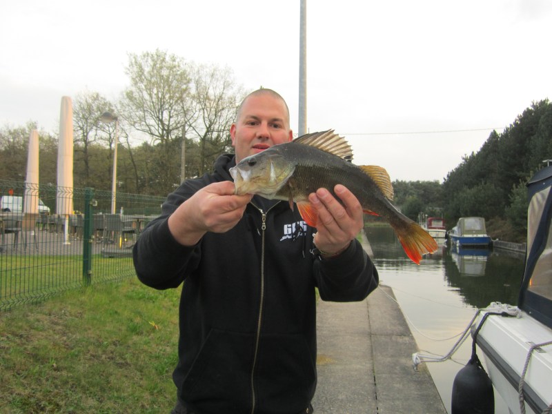 Belgium Blackbass