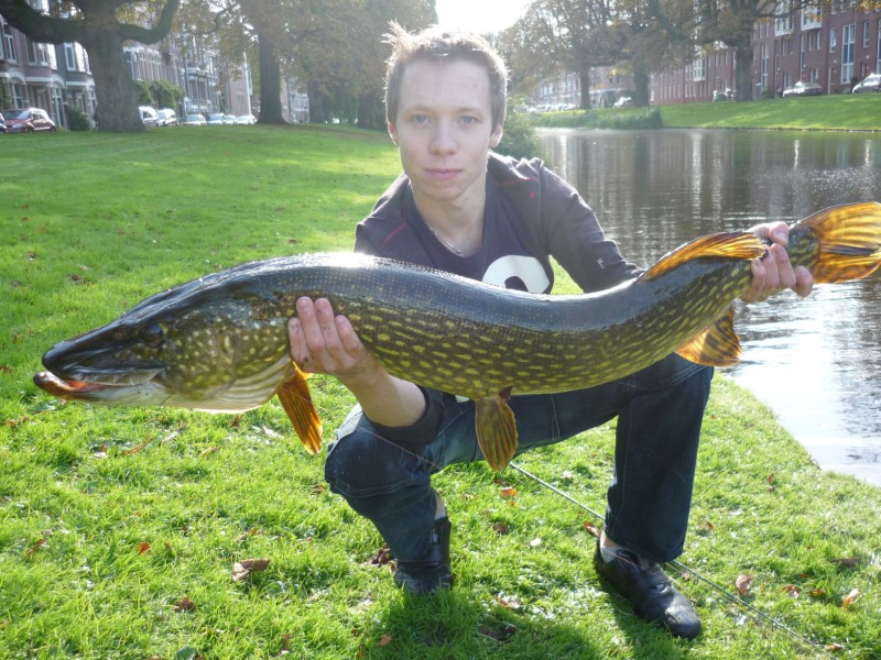 Dikke snoek voor Nick de Jongste