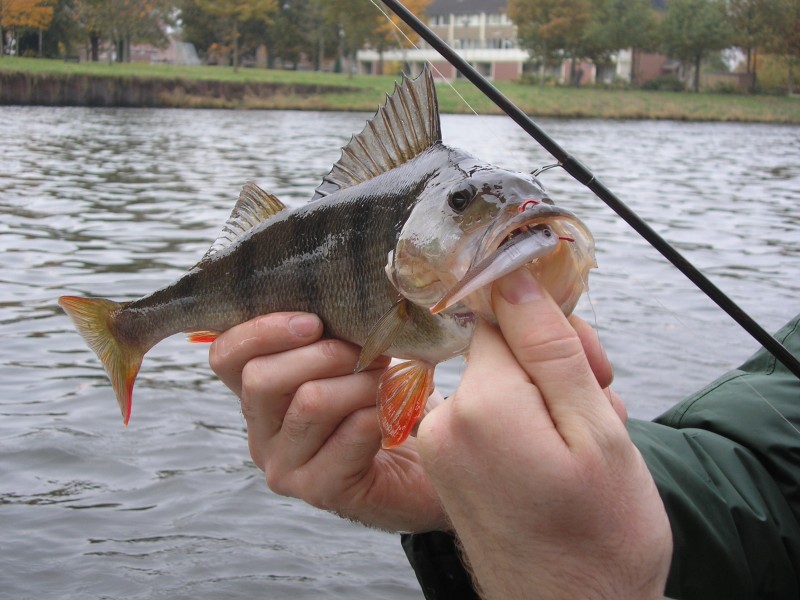Dropshotten op het kanaal
