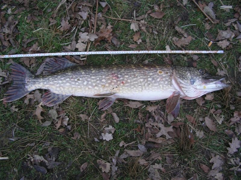 Eeste PR van het jaar