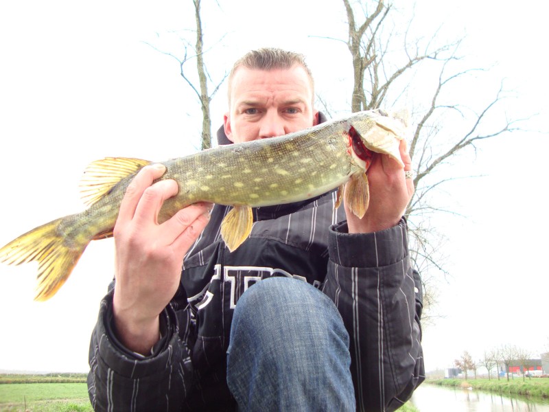 Laatste dag snoeken in de polder