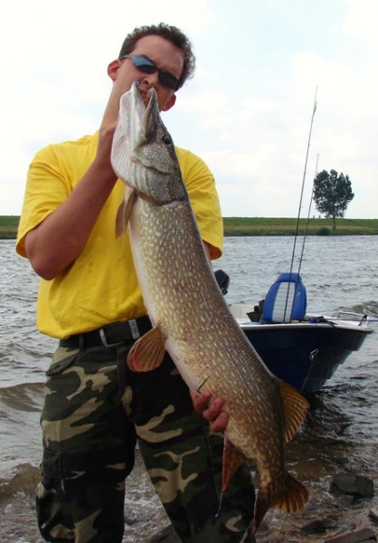 Marktplaats en vissen