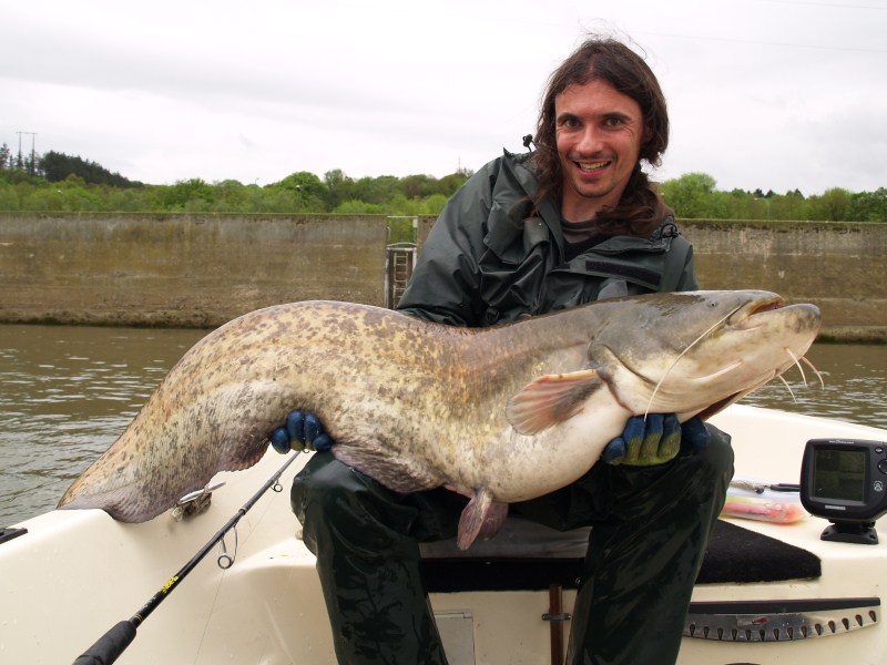 Meerval op de screamin devil