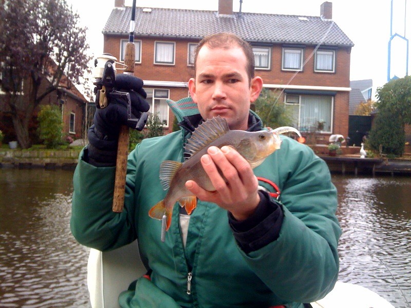 Snoek op dood aas