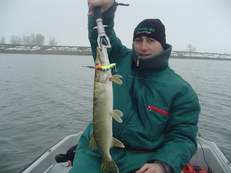 Snoek uit Nederhemert