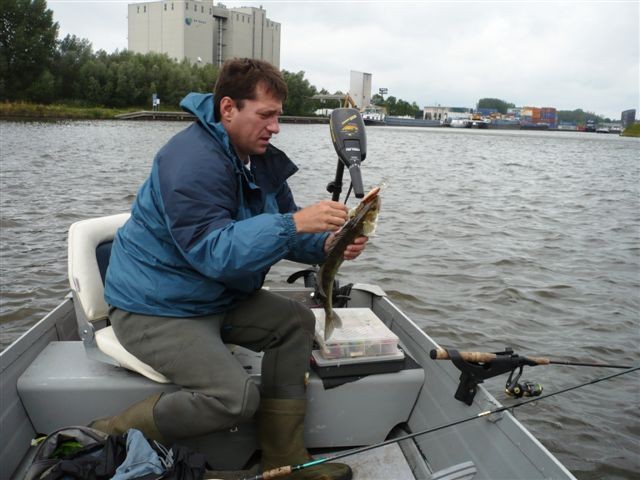 Snoekbaars (en water) in de boot