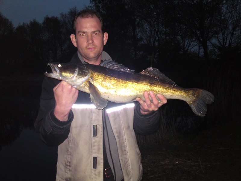 Snoekbaars op de beetverklikker