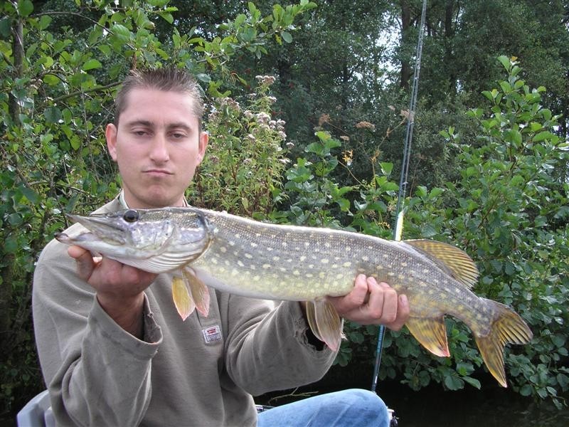 Trollen in Vinkeveen