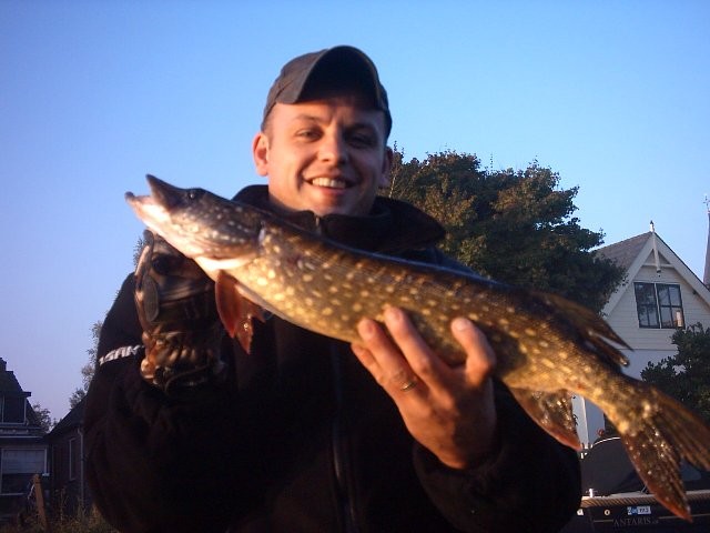 Van karper naar snoek