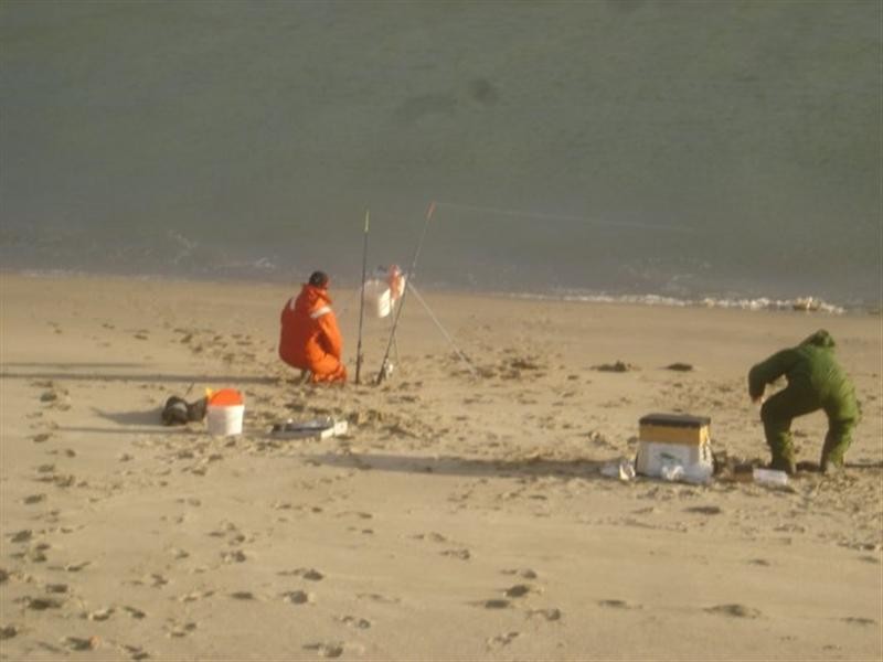Vissen op de maasvlakte