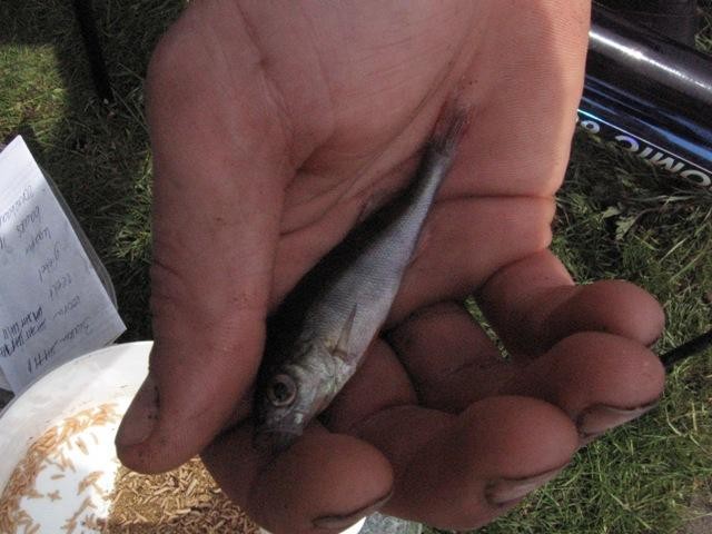 Westerhoven Rob en Eric