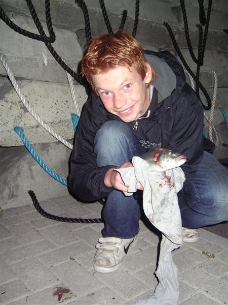 Zeebaars uit Ijmuiden