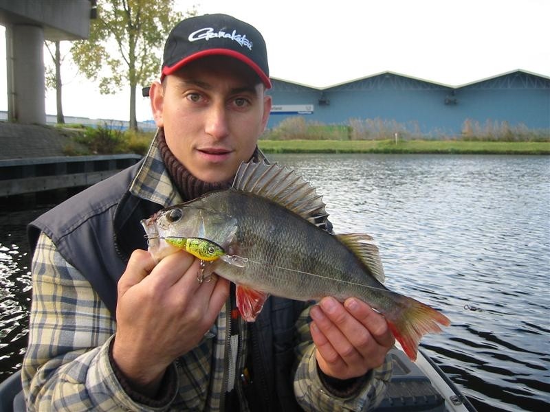 Zoektocht naar Snoekbaars