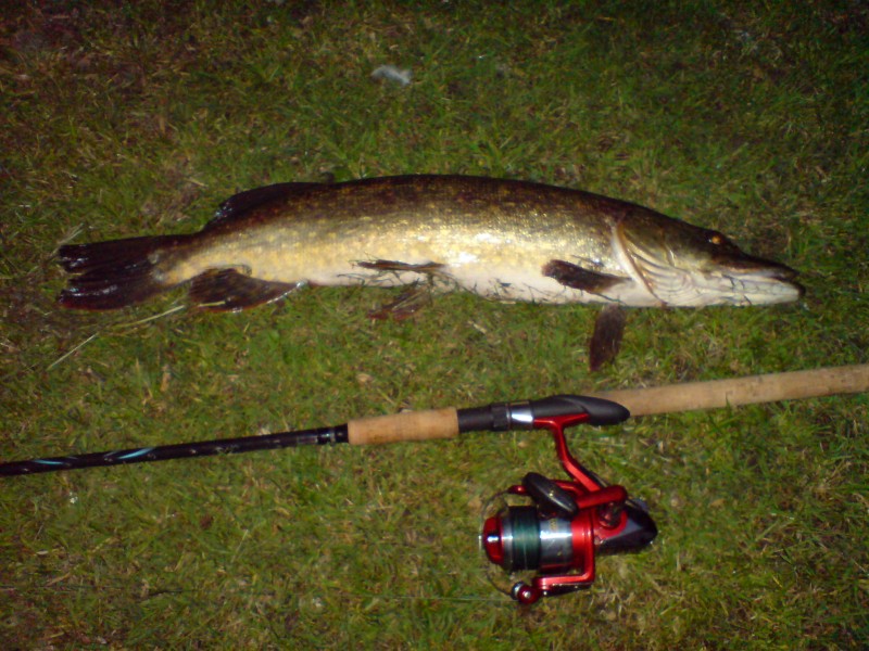 eerste snoek van het jaar