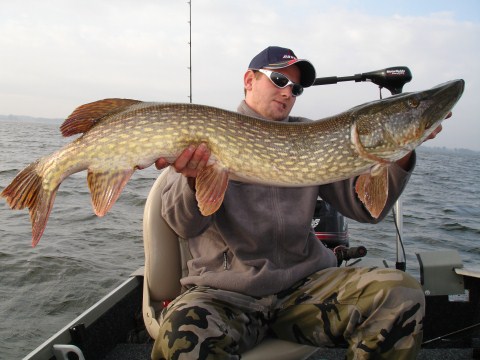 Aantallen vangen op groot water