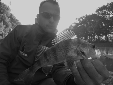 Hornets save the day