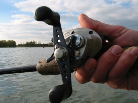 Limburgse snoekdames