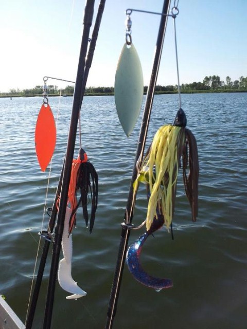 Snoeken in eigen land