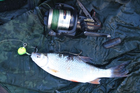 Verticalen op meerval