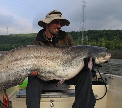 1 juni nieuw roofvisseizoen