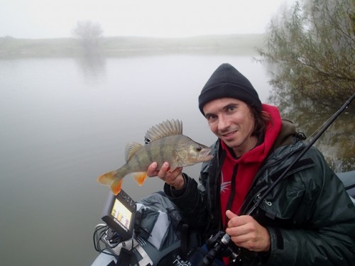 Baars op de bellyboot