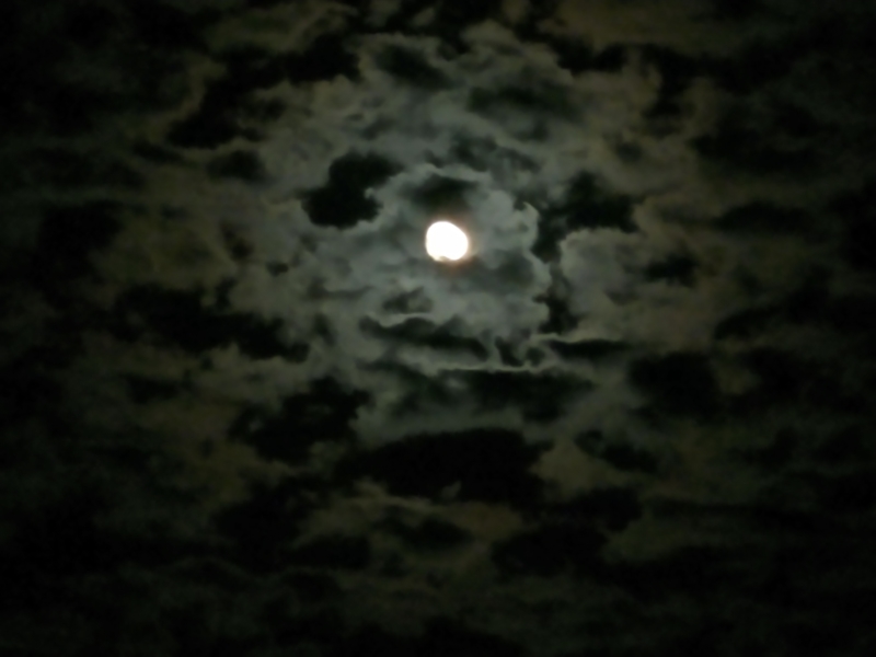 img_20190714_225536563