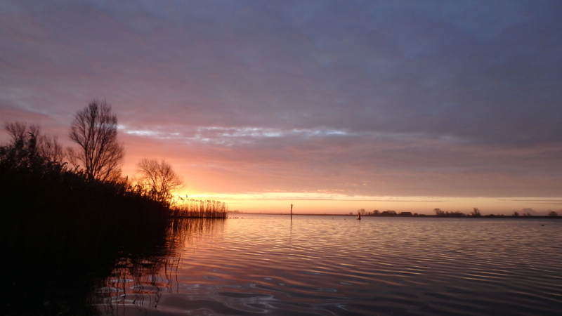 Lente in zicht