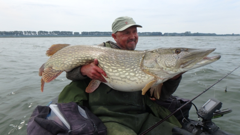 Jerkbait vissen vanuit de bellyboat