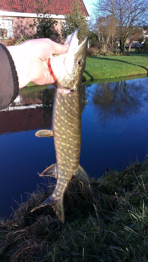 Heerlijke-middag-vissen-3