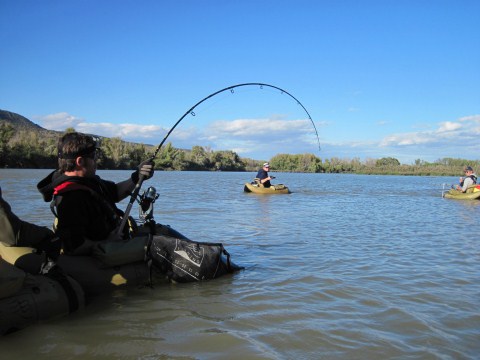 Meervaltrip-Deel-1-9