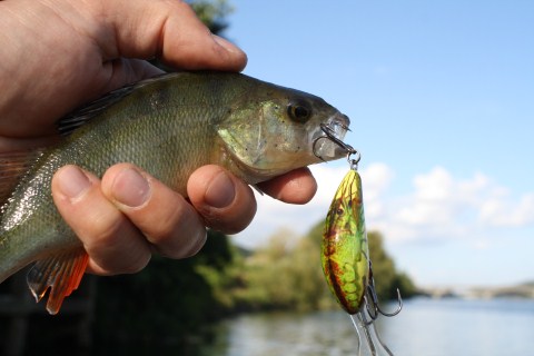 Wonderbaarlijke-supervangertjes-2