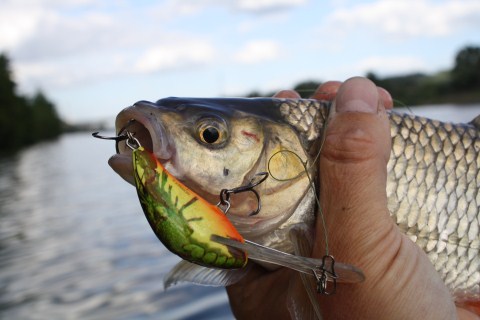 Wonderbaarlijke-supervangertjes-3