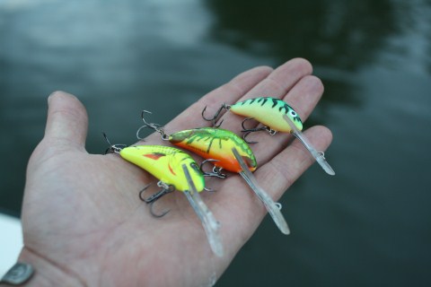 Wonderbaarlijke-supervangertjes-4