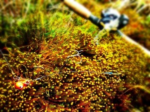 Foto 6[1]