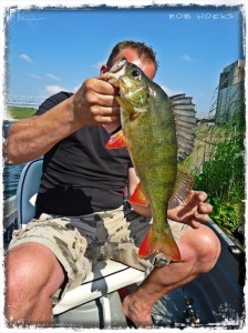 Baars 46 cm Lommel 8-6-13 025