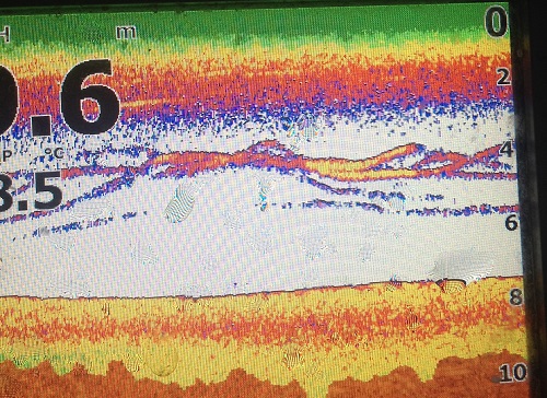 roven lowrance 4b