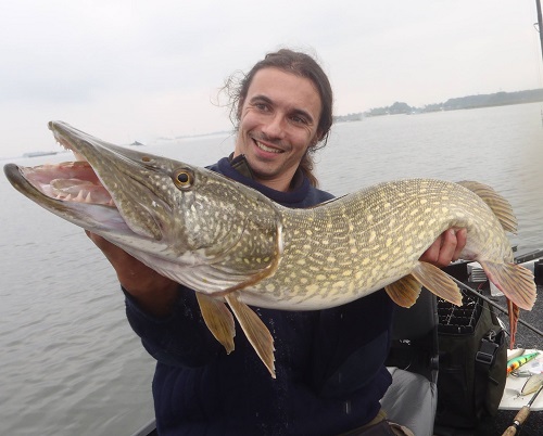 snoek roven 1b