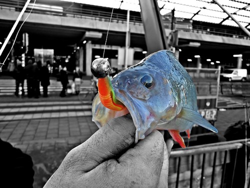 Streetfishing Amsterdam 023 (2)