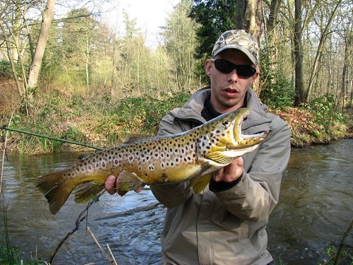 roven_forel_1