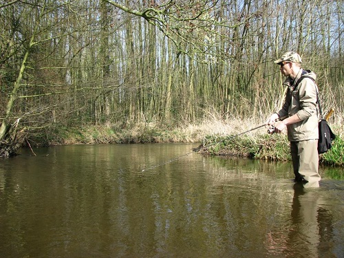 roven_forel_2