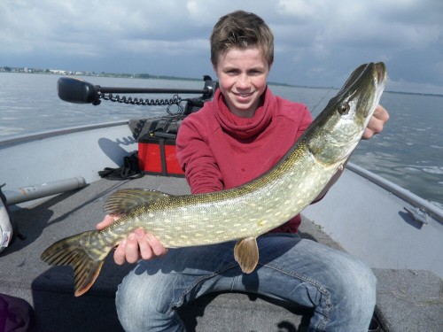 Op de spinner_bait