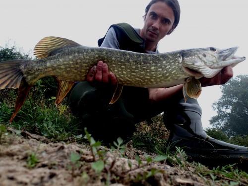 pike