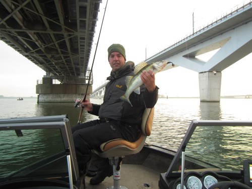 4_snoekbaars_brug