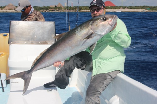 Amberjack