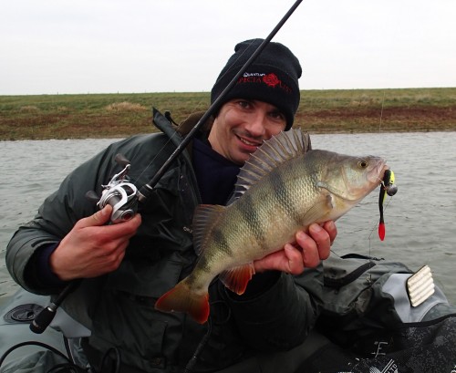 perch