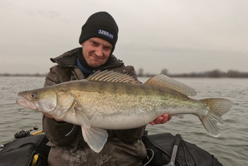 roven_snoekbaars