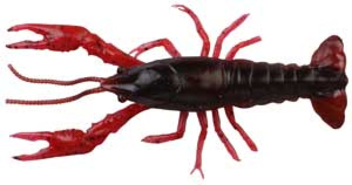 Sg Lb 3D Crayfish 8Cm 4G F